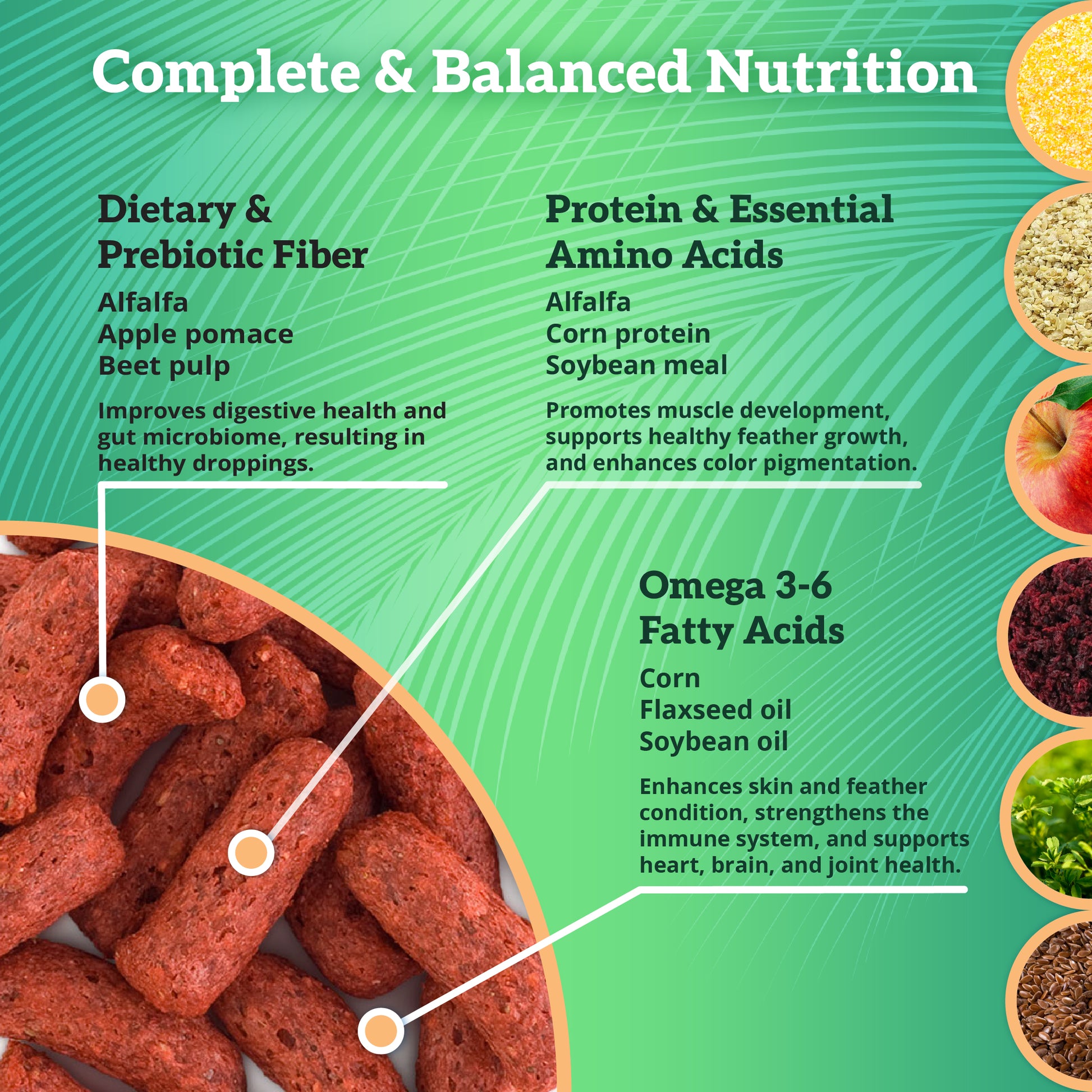 Scenic Apple Jungle Complete Balanced Nutrition