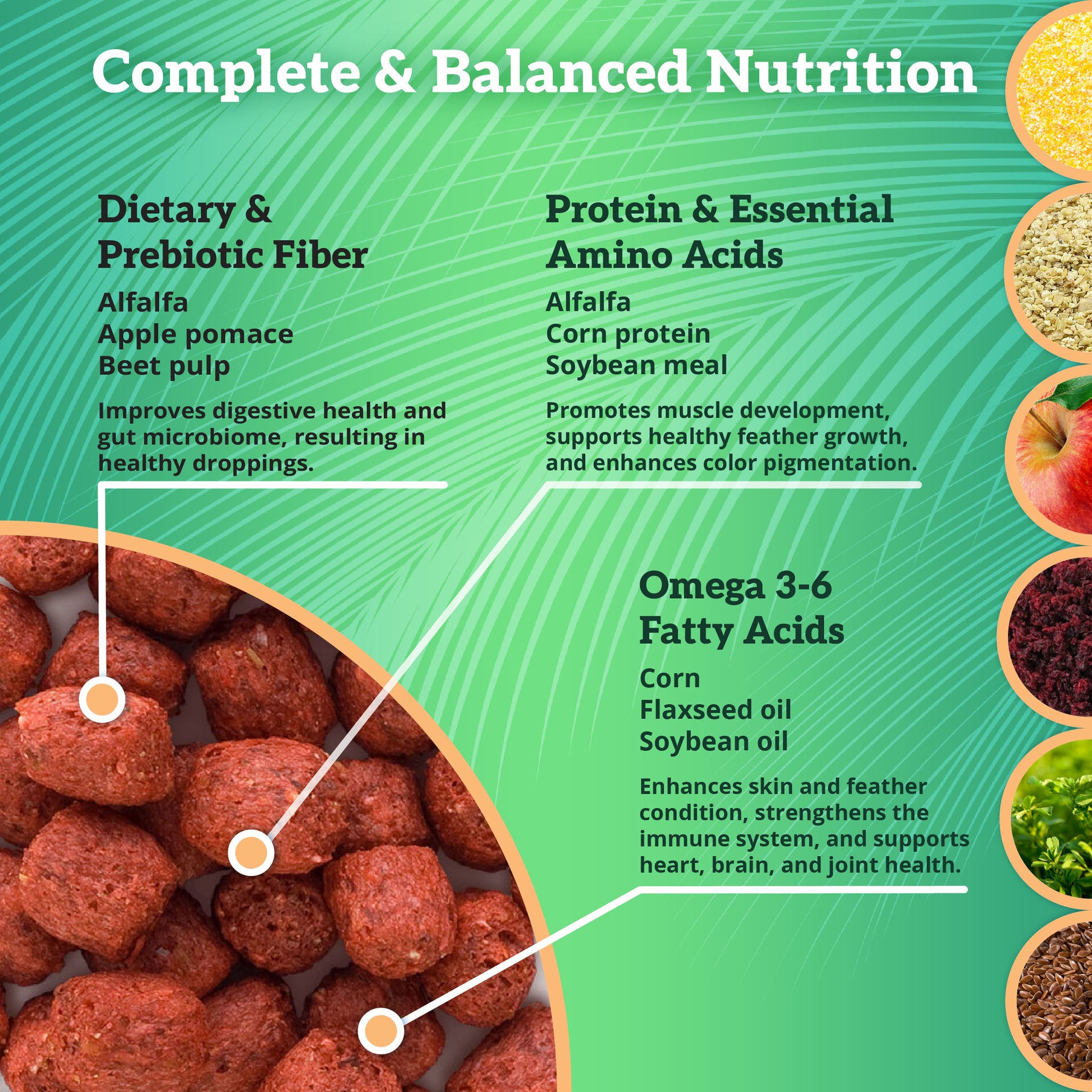 Scenic Apple Paradise Complete Balanced Nutrition