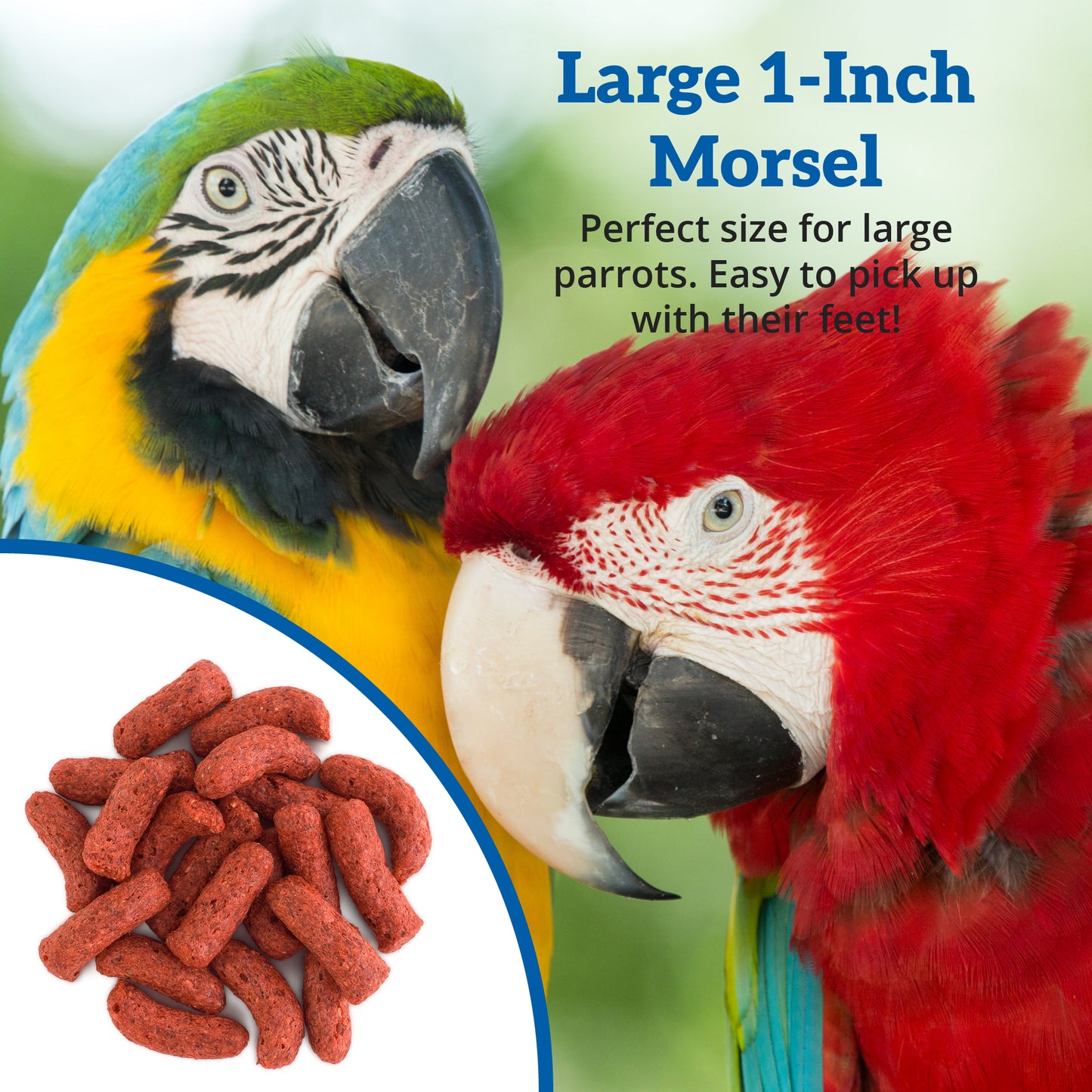 Scenic Apple Jungle 1-Inch Morsel