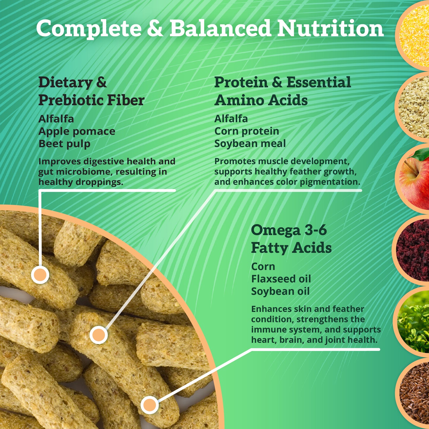 Scenic Corn Jungle Complete Balanced Nutrition