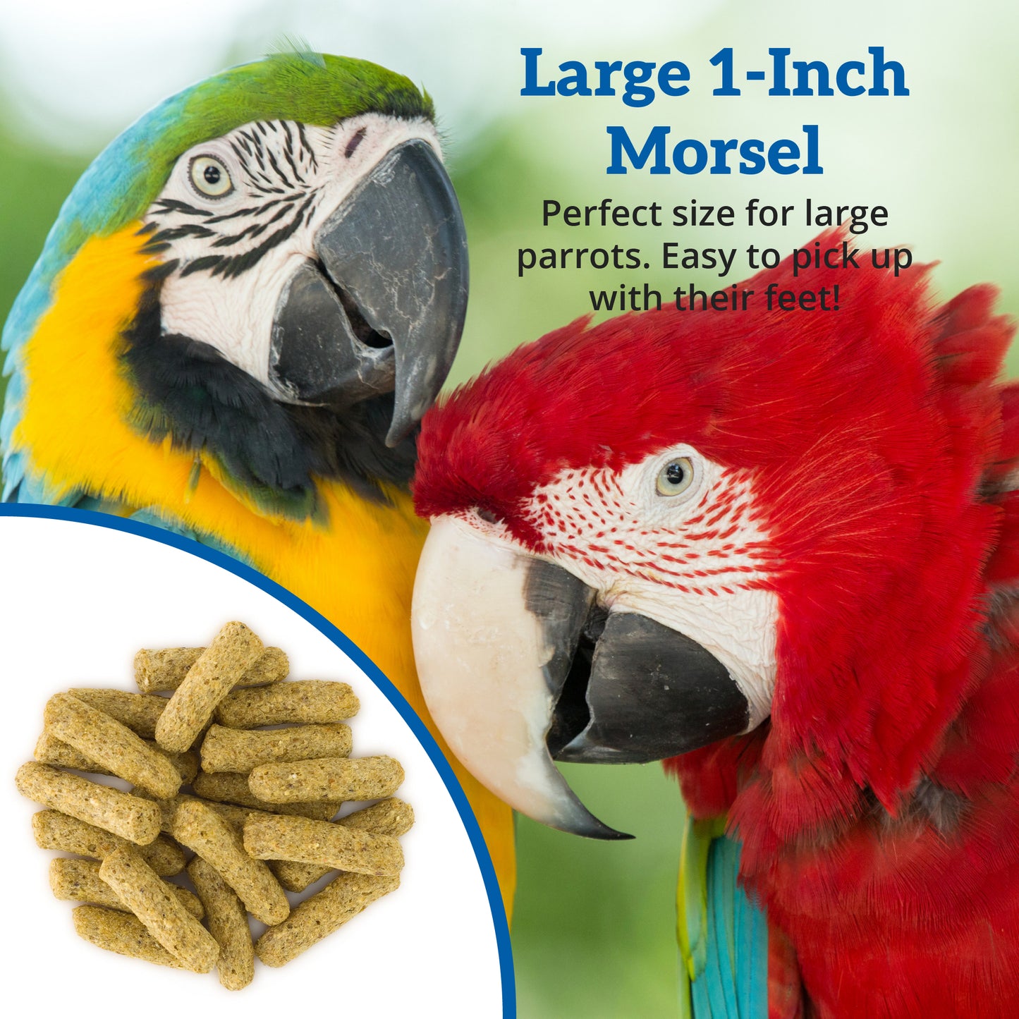 Scenic Corn Jungle 1-Inch Morsel