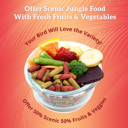 Scenic Jungle Fruits & Vegetables