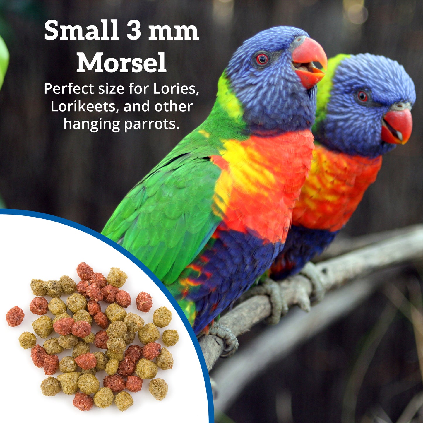 Scenic Lory Pellets 3 mm Small Morsel