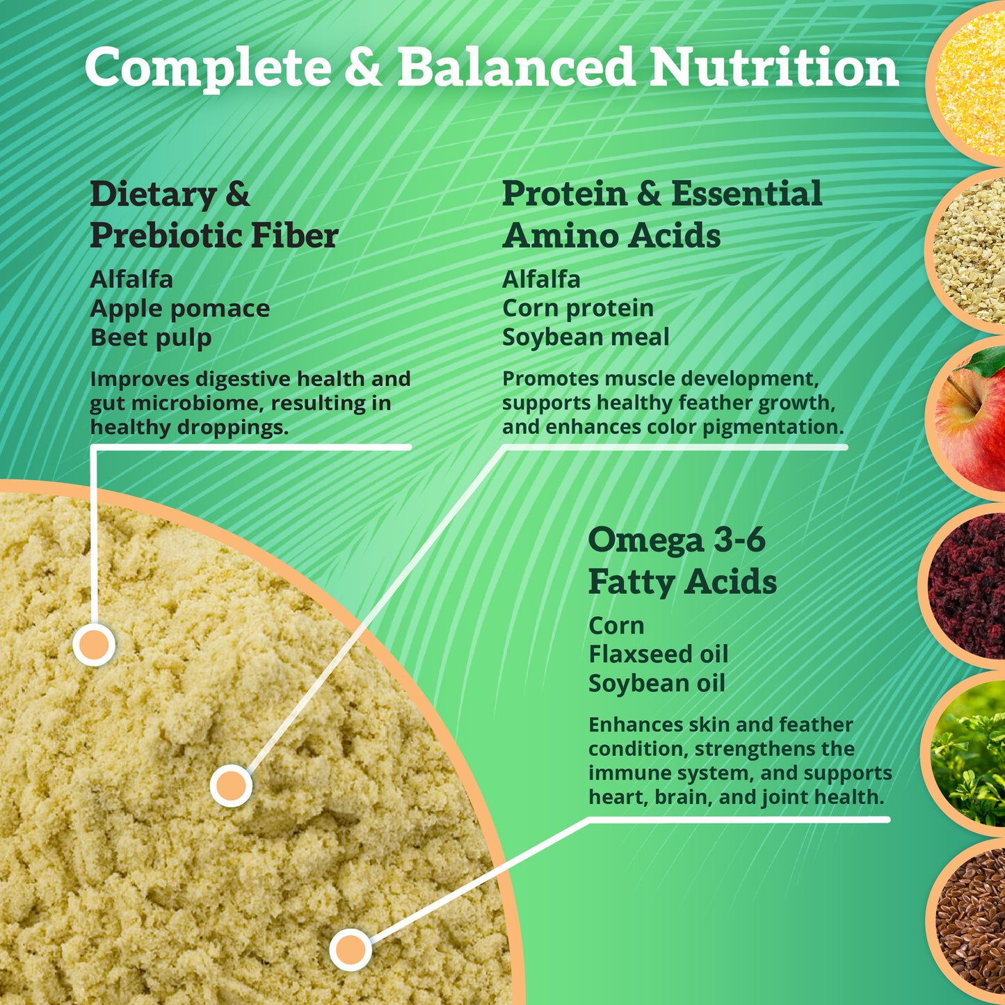 Scenic Lory Powder Complete Balanced Nutrition