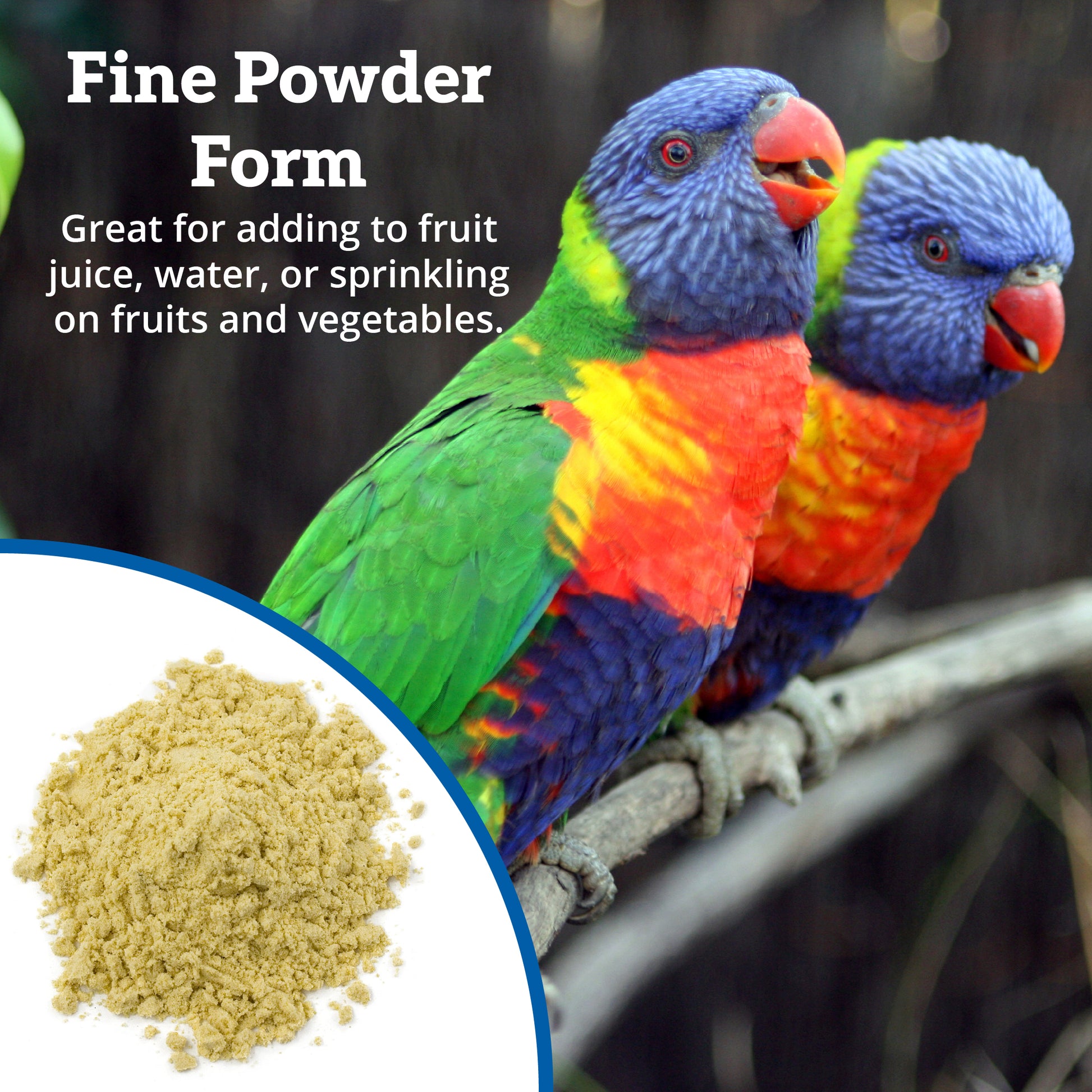 Scenic Lory Fine Powder Form