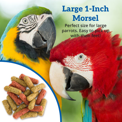 Scenic Mix Jungle 1-Inch Morsel