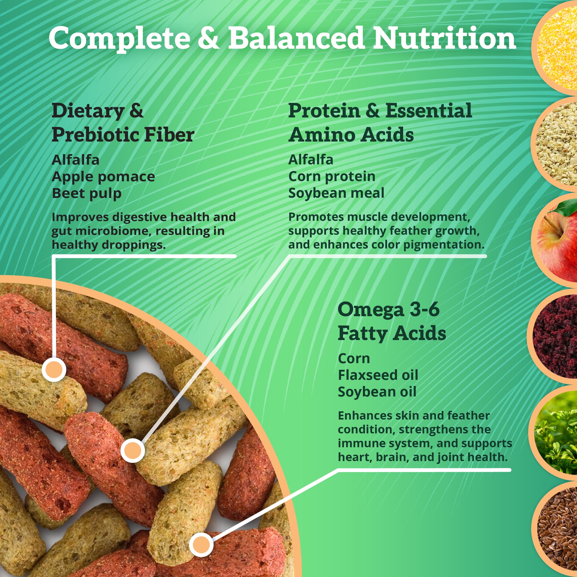 Scenic Mix Jungle Complete Balanced Nutrition