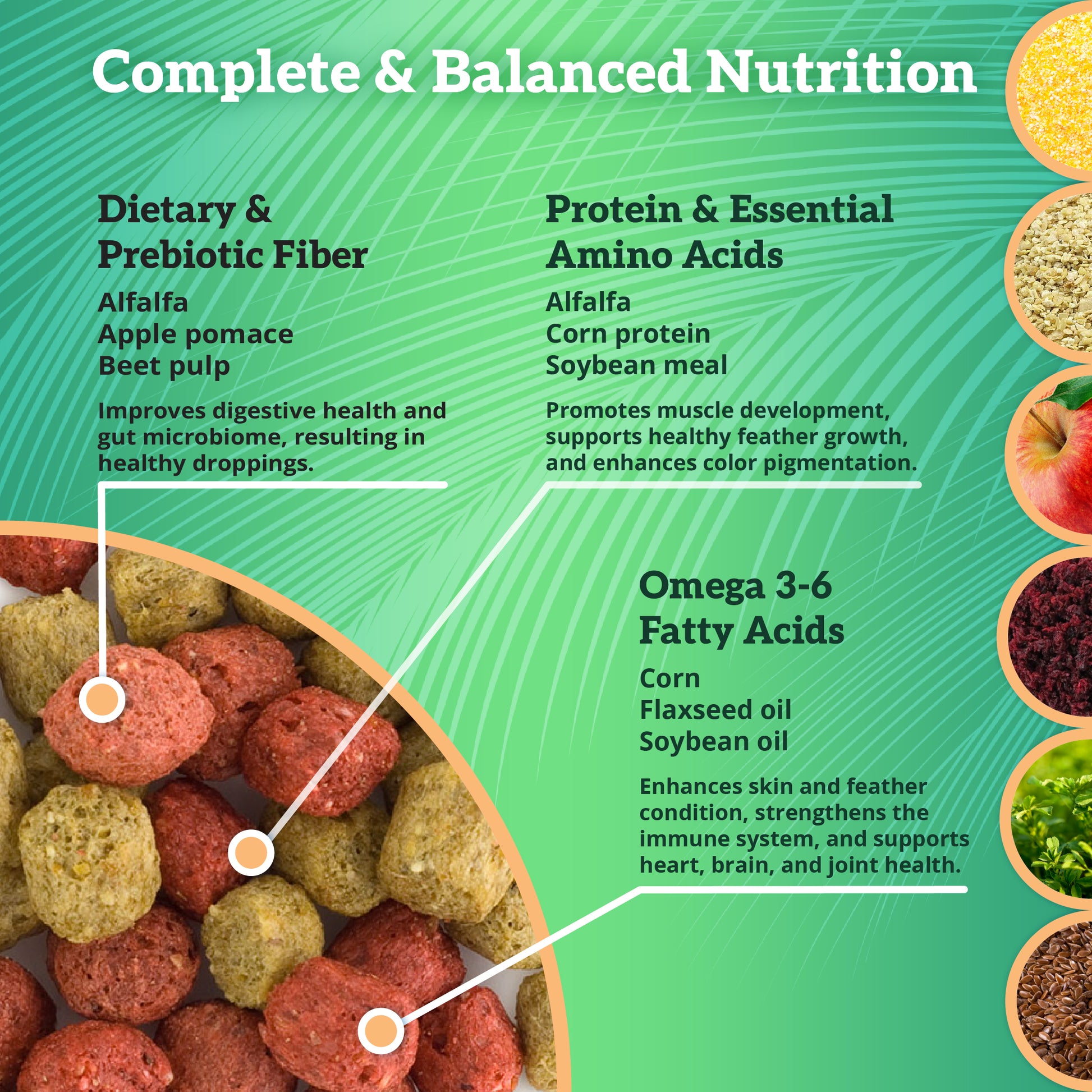 Scenic Mix Paradise Complete Balanced Nutrition